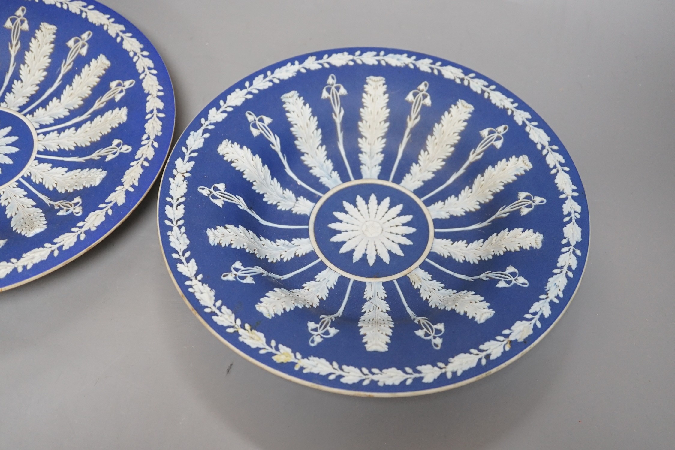 A pair of early 19th century Wedgwood jasper ware dishes, with radiating leaves from a central circle, 26cm